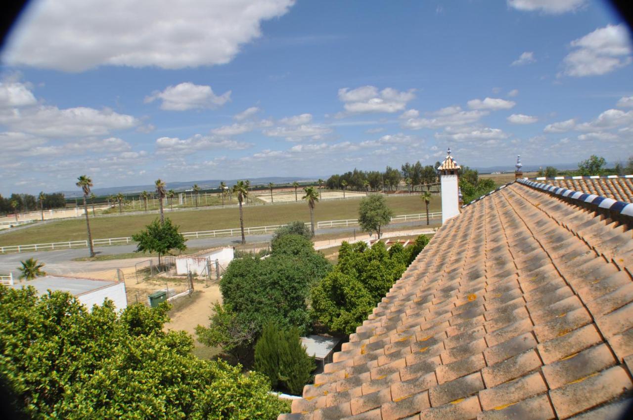 Villa Cortijo la amazona Sevilla Exterior foto